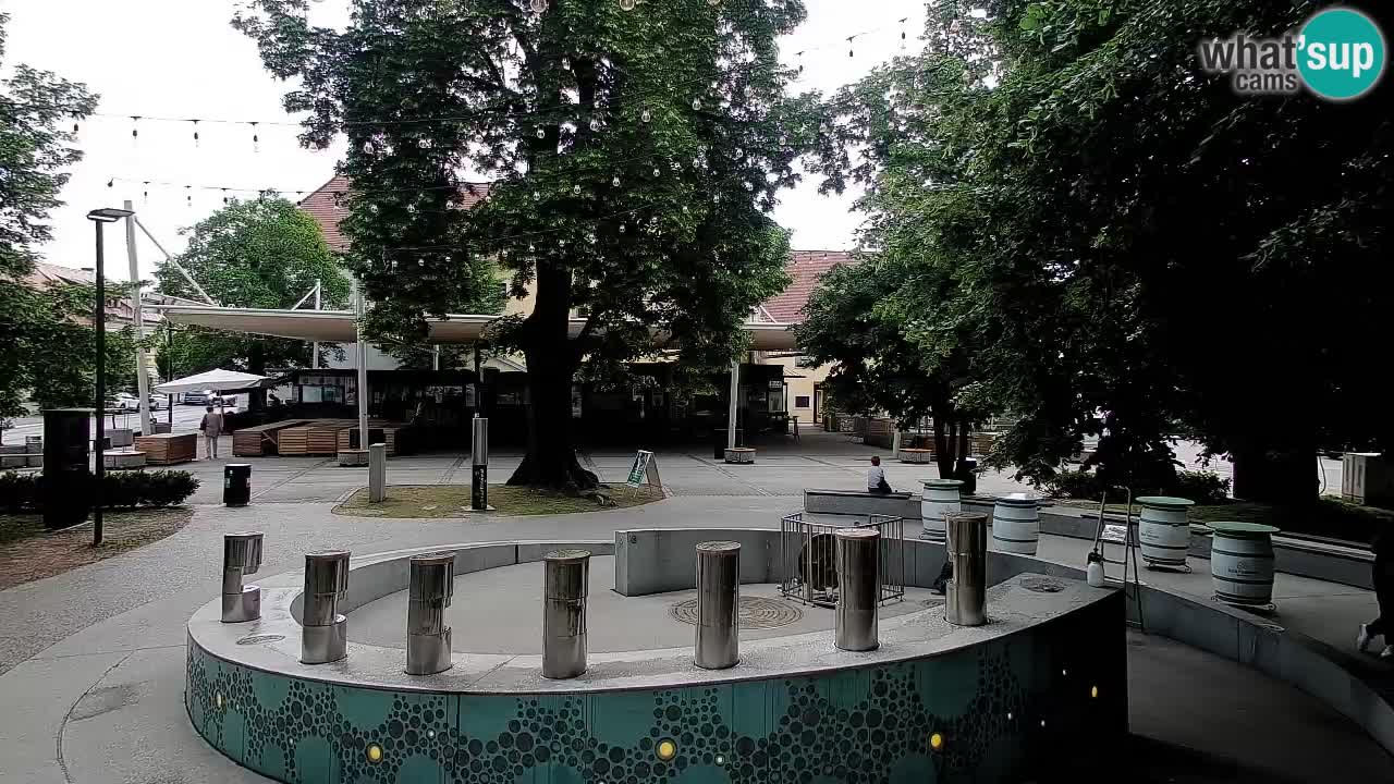 Bier-Springbrunnen Webcam Žalec – Grünen Goldes