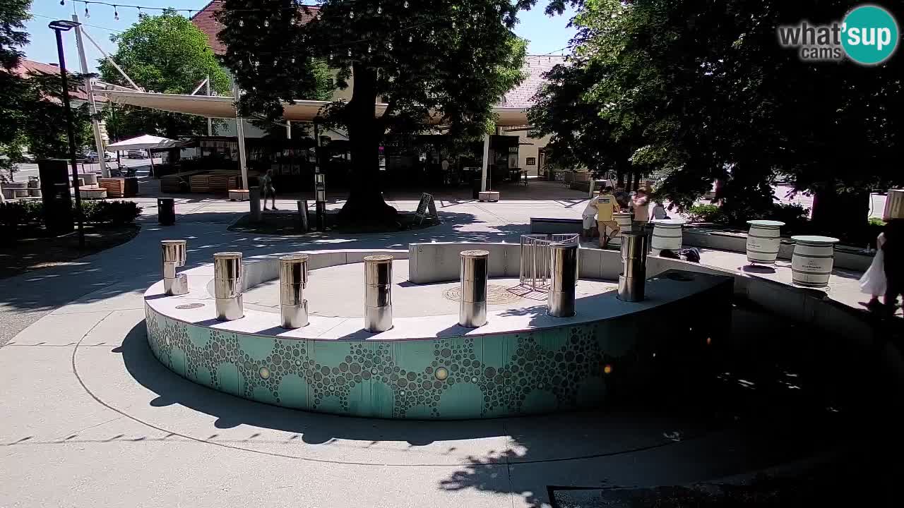 Fontana di birra Webcam – Oro verde – Žalec