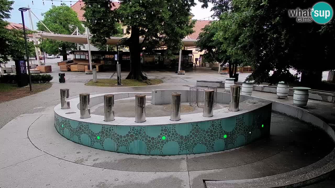 Spletna kamera Fontana Piv – Zeleno zlato Žalec