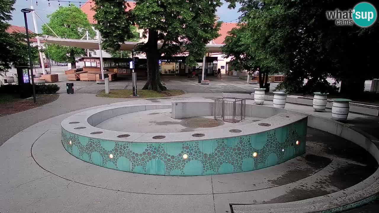 Spletna kamera Fontana Piv – Zeleno zlato Žalec