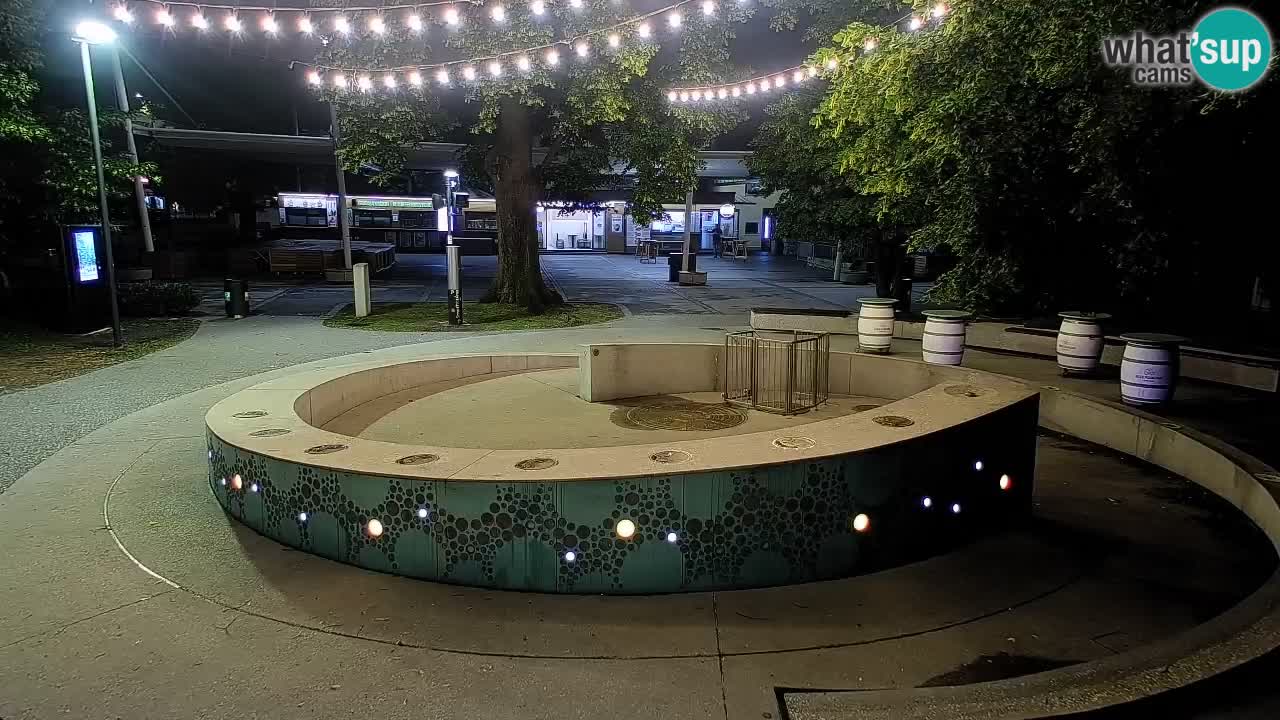 Camera en vivo Fuente de cerveza – Oro verde – Žalec