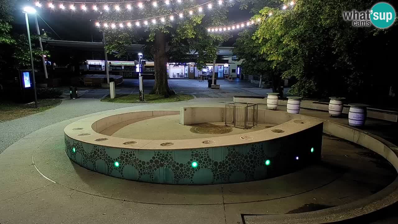 Fontaine à bière LIVE webcam – Or vert – Žalec