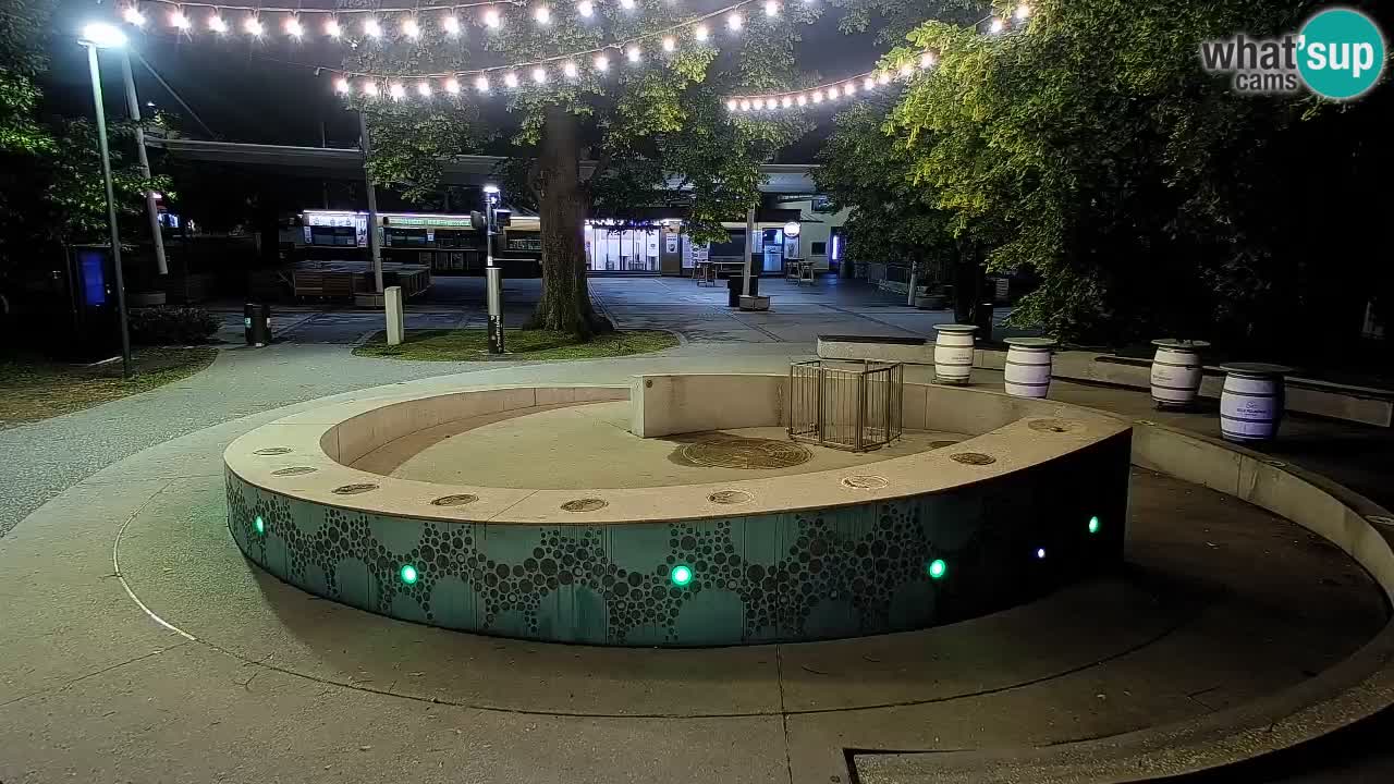 Fontaine à bière LIVE webcam – Or vert – Žalec
