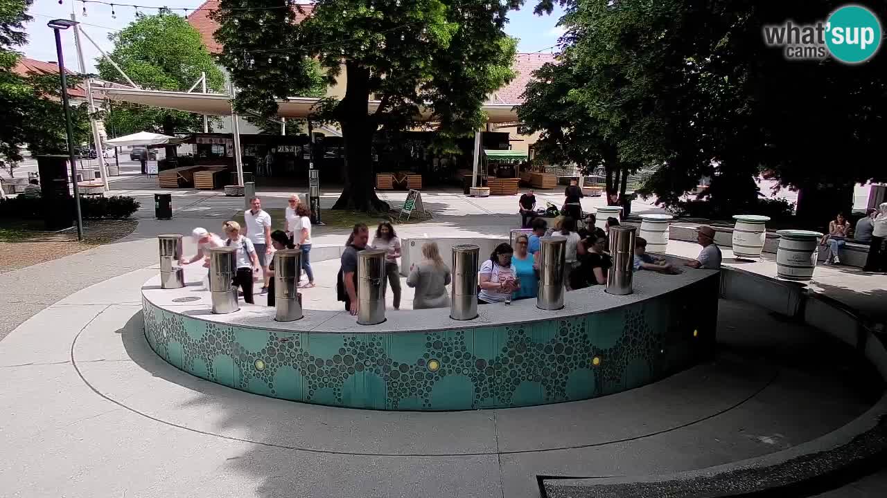 Fontana di birra Webcam – Oro verde – Žalec