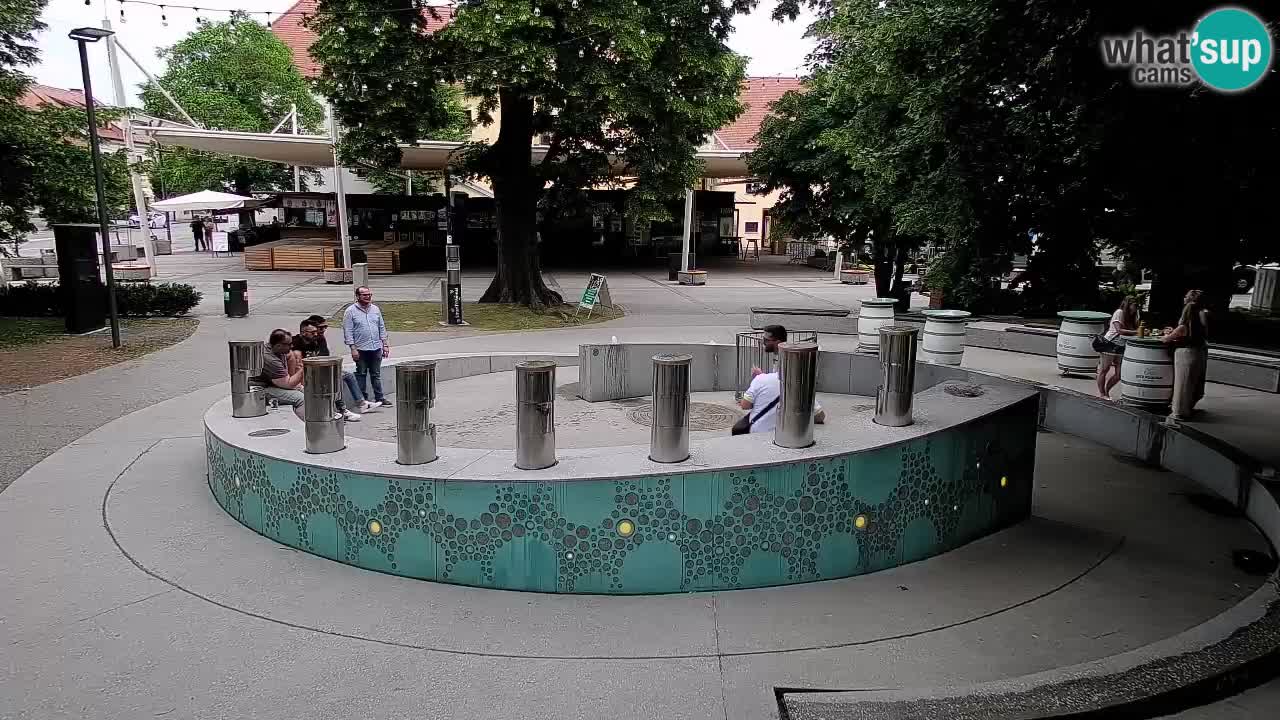 Web kamera Fontana piva – Zeleno zlato – Žalec