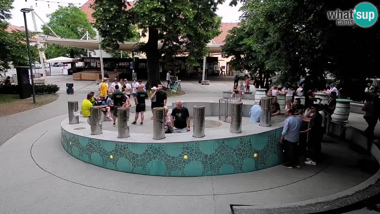 Fontana di birra Webcam – Oro verde – Žalec