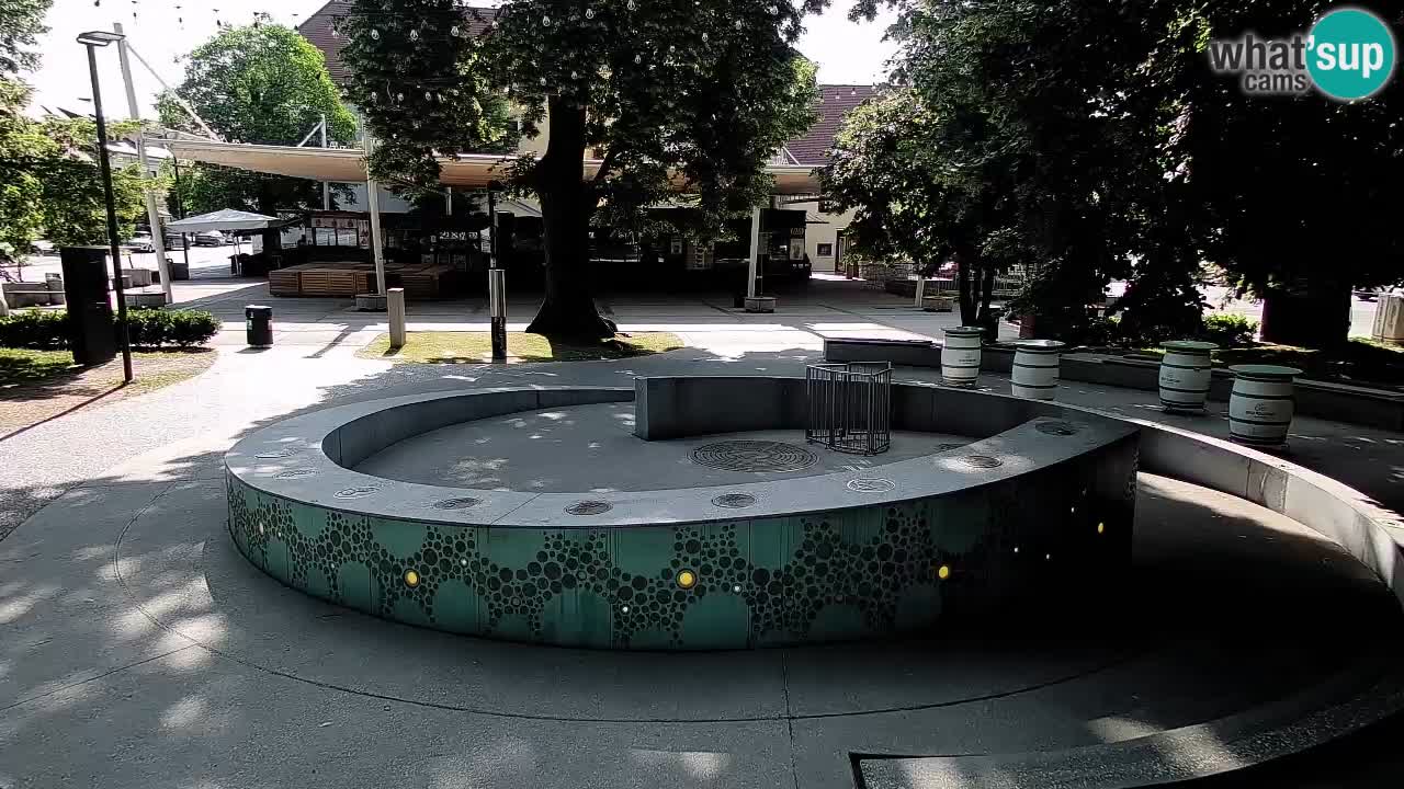 Bier-Springbrunnen Webcam Žalec – Grünen Goldes
