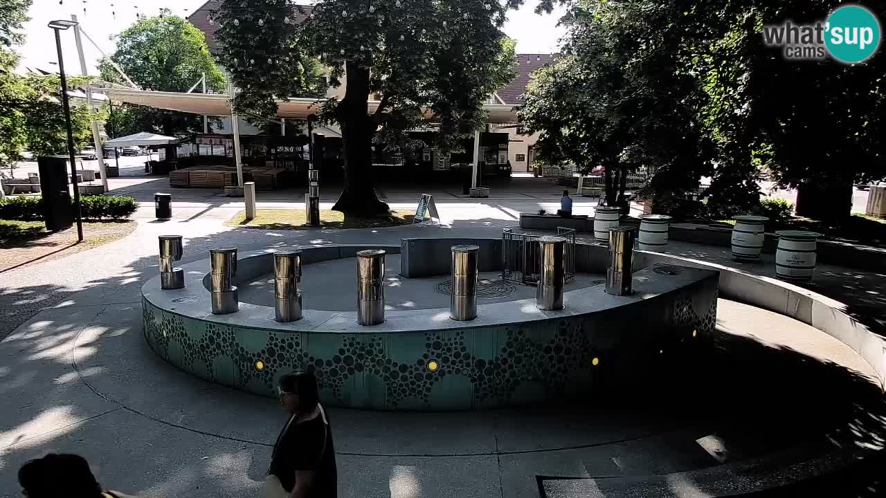Fontaine à bière LIVE webcam – Or vert – Žalec