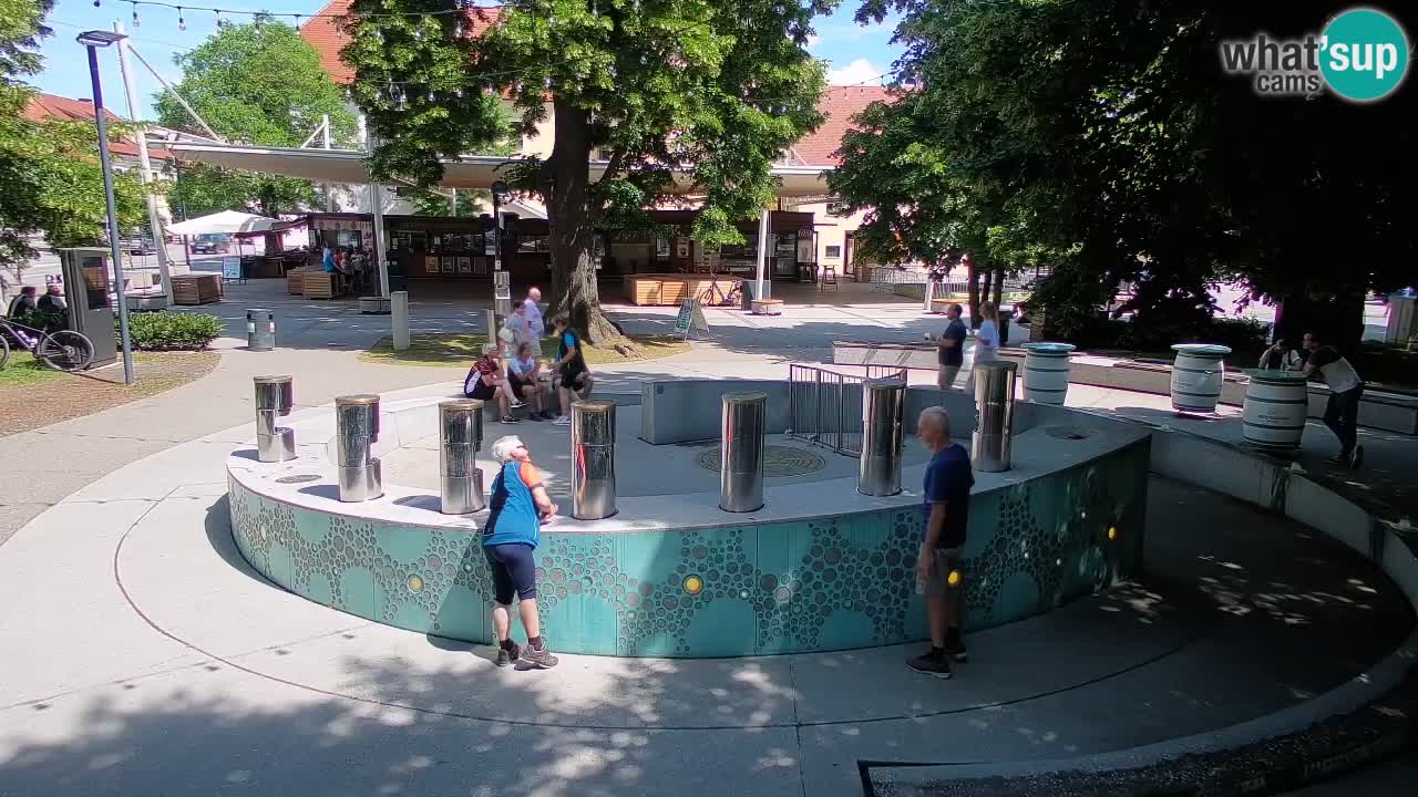Fontana di birra Webcam – Oro verde – Žalec