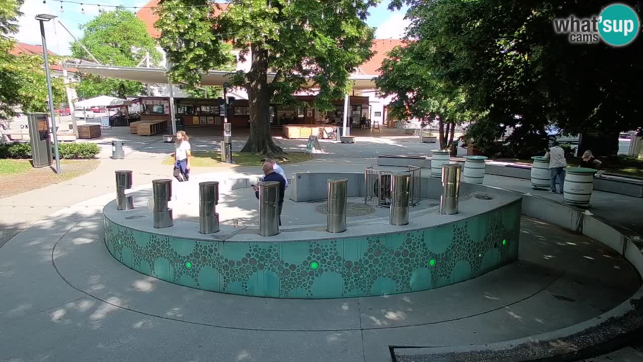 Web kamera Fontana piva – Zeleno zlato – Žalec