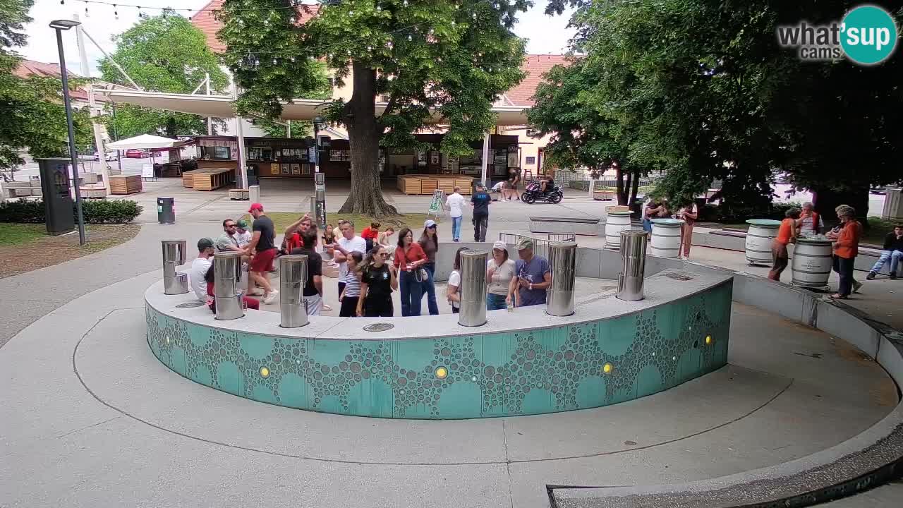 Web kamera Fontana piva – Zeleno zlato – Žalec