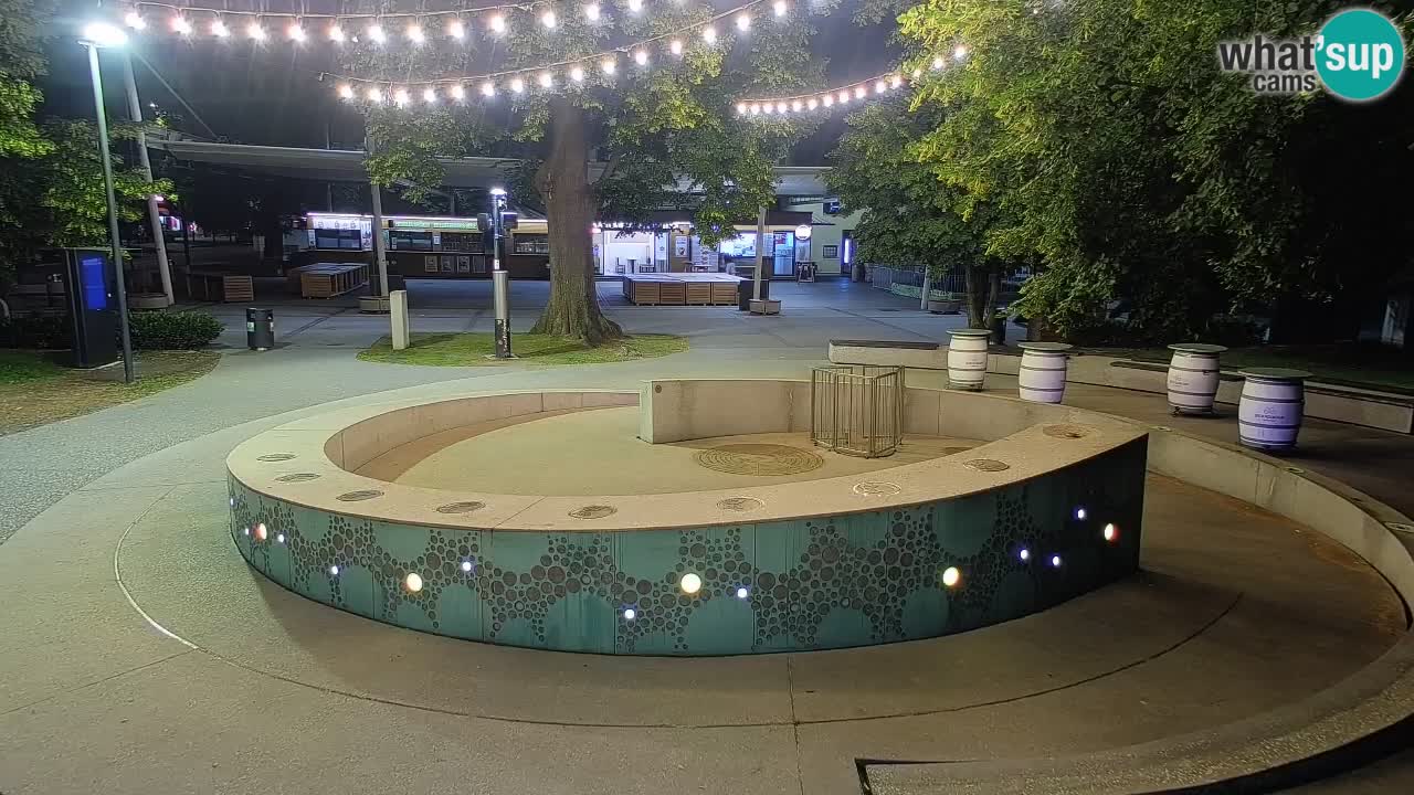 Fontaine à bière LIVE webcam – Or vert – Žalec