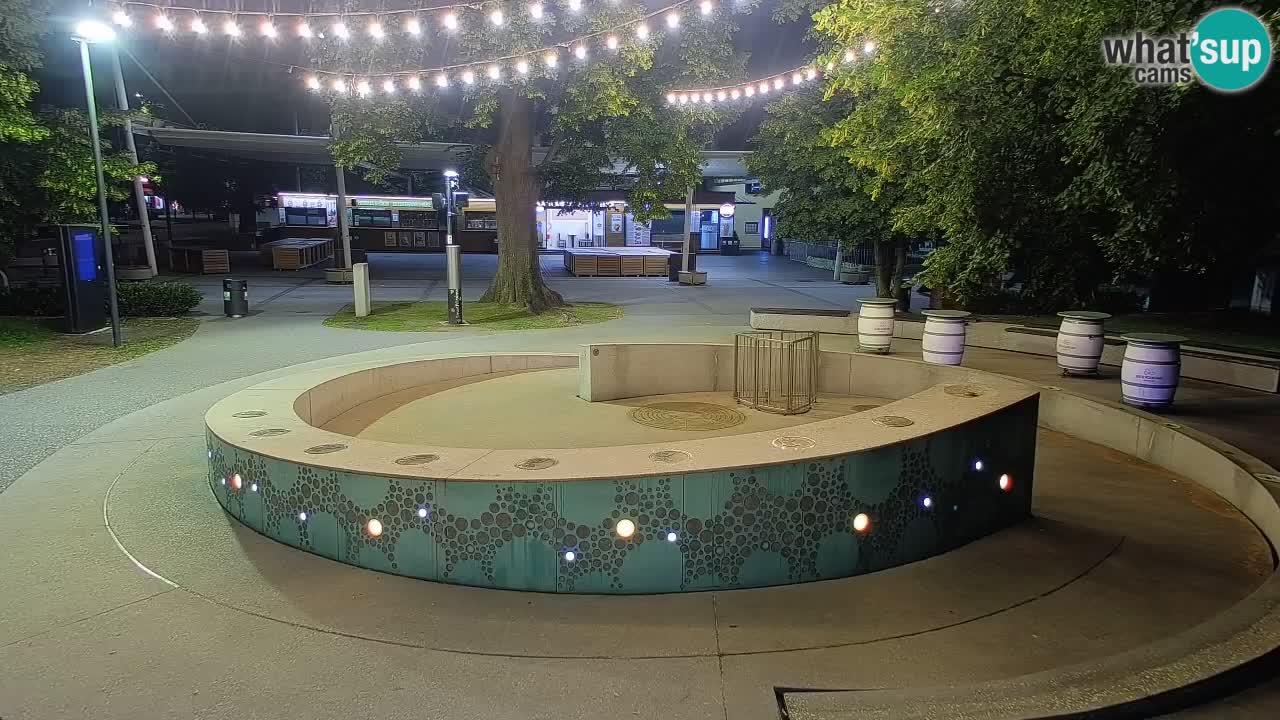 Bier-Springbrunnen Webcam Žalec – Grünen Goldes