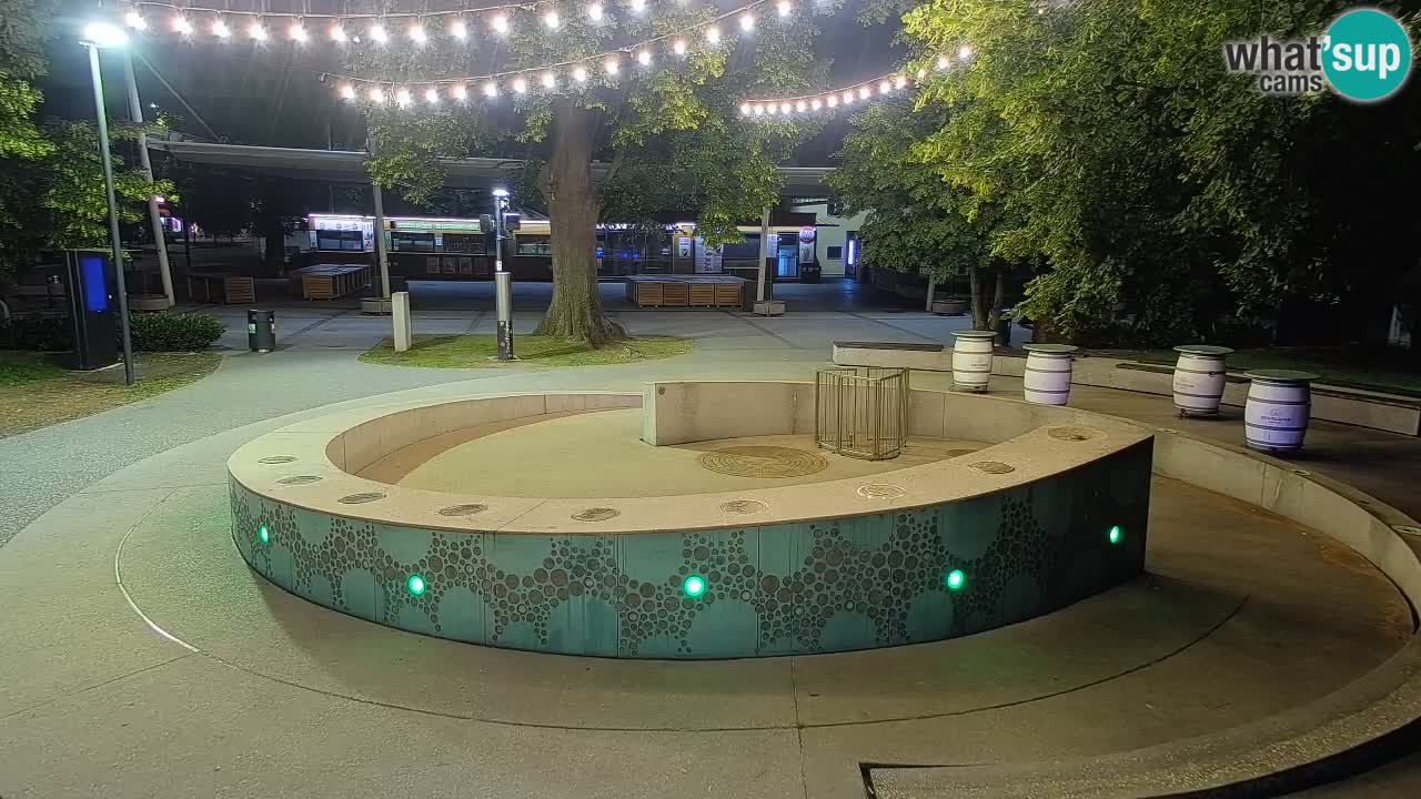 Camera en vivo Fuente de cerveza – Oro verde – Žalec