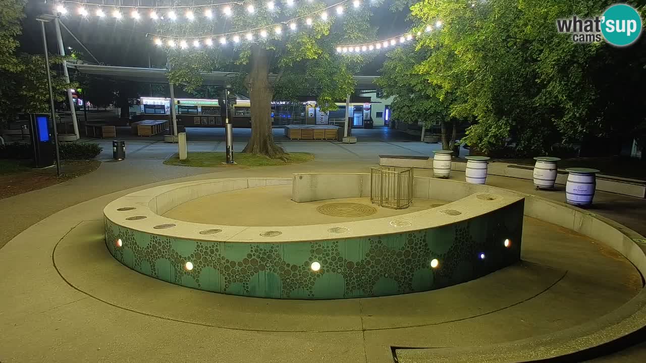 Bier-Springbrunnen Webcam Žalec – Grünen Goldes