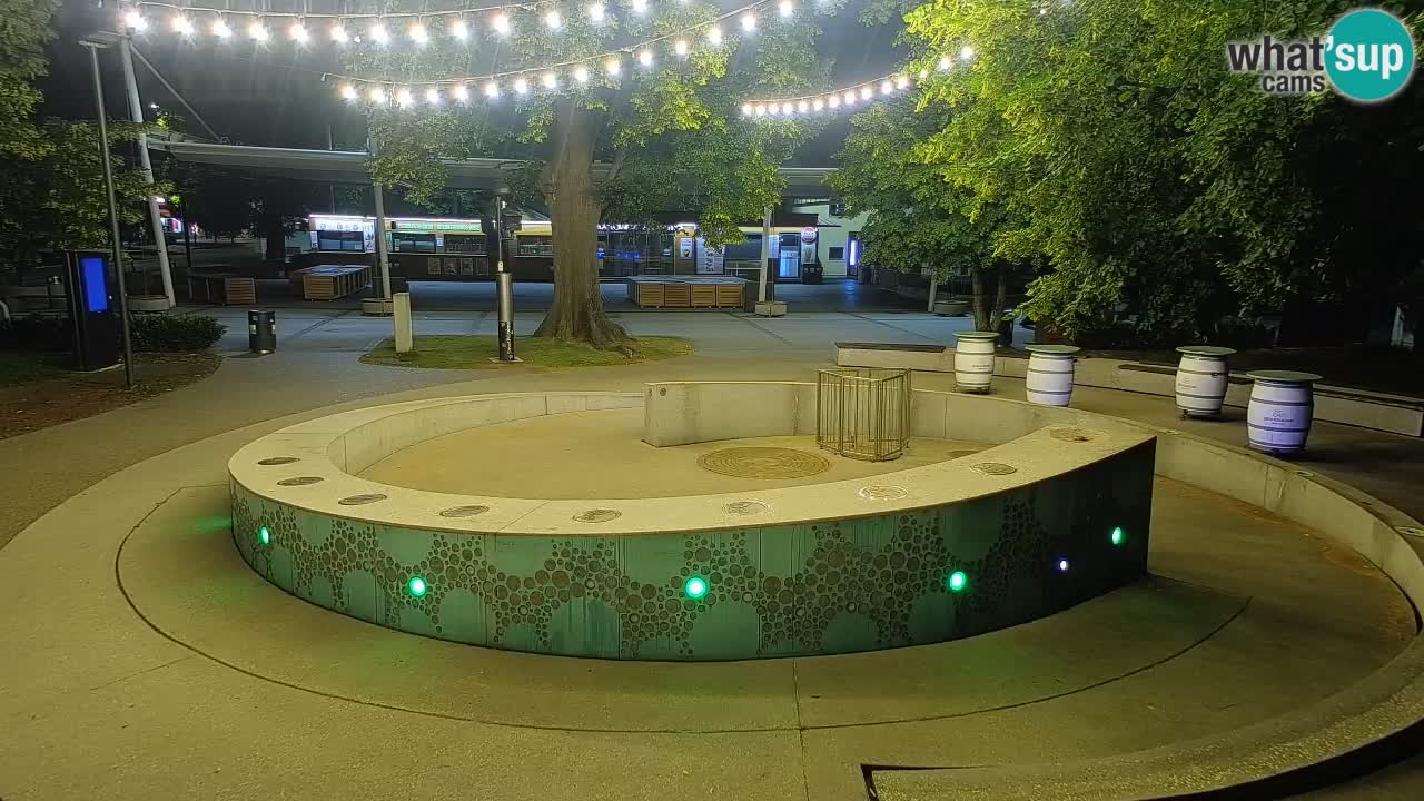 Bier-Springbrunnen Webcam Žalec – Grünen Goldes