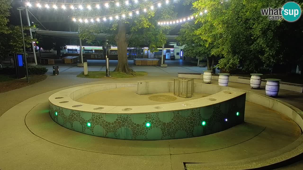 Camera en vivo Fuente de cerveza – Oro verde – Žalec