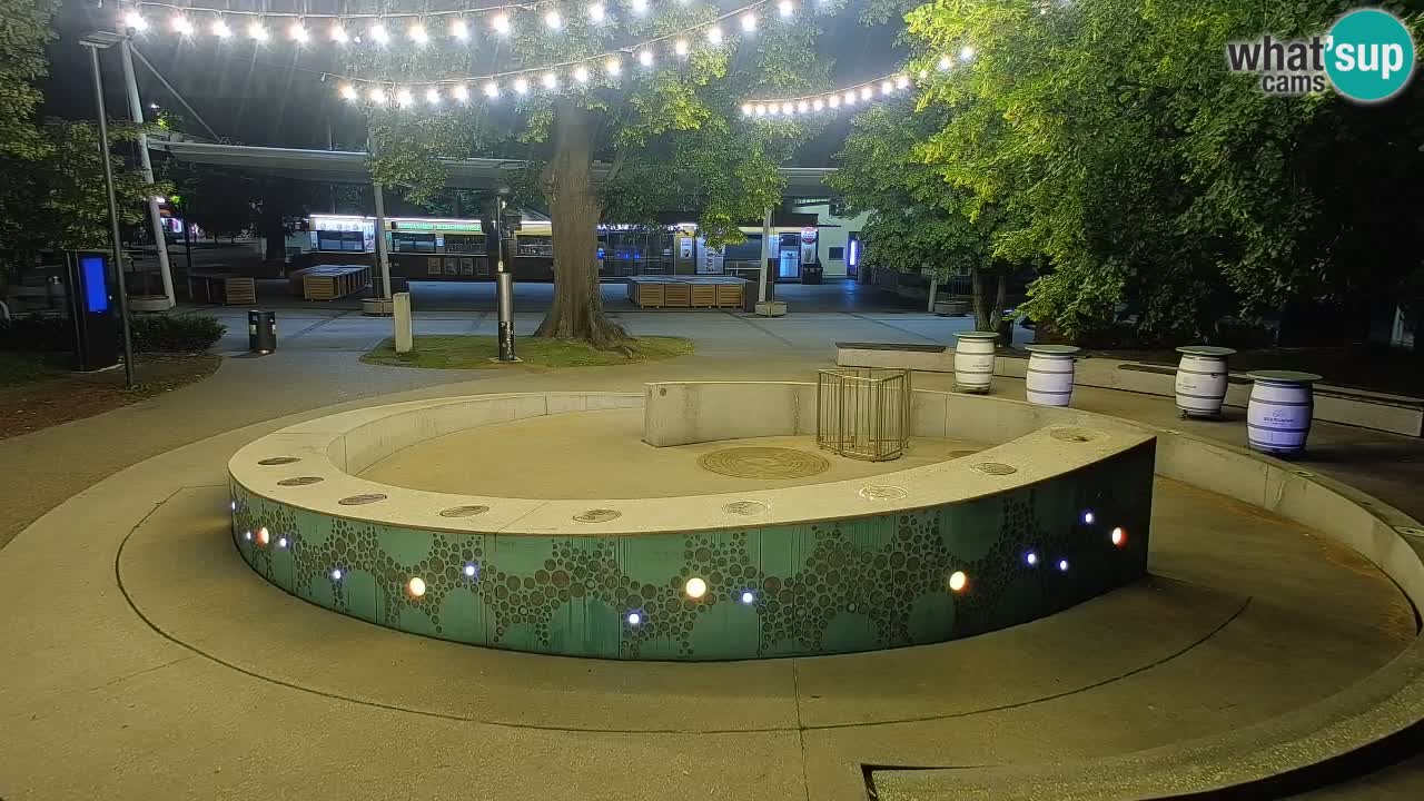 Camera en vivo Fuente de cerveza – Oro verde – Žalec