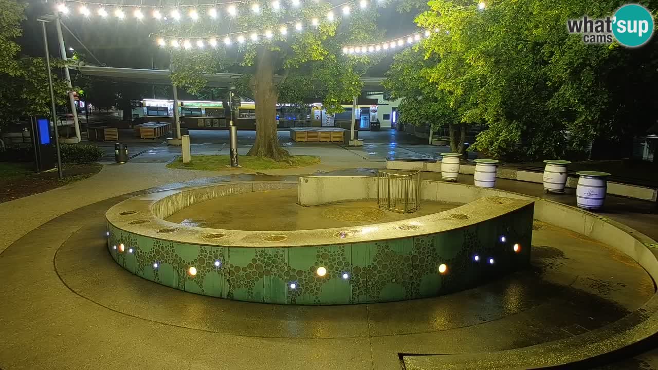 Web kamera Fontana piva – Zeleno zlato – Žalec