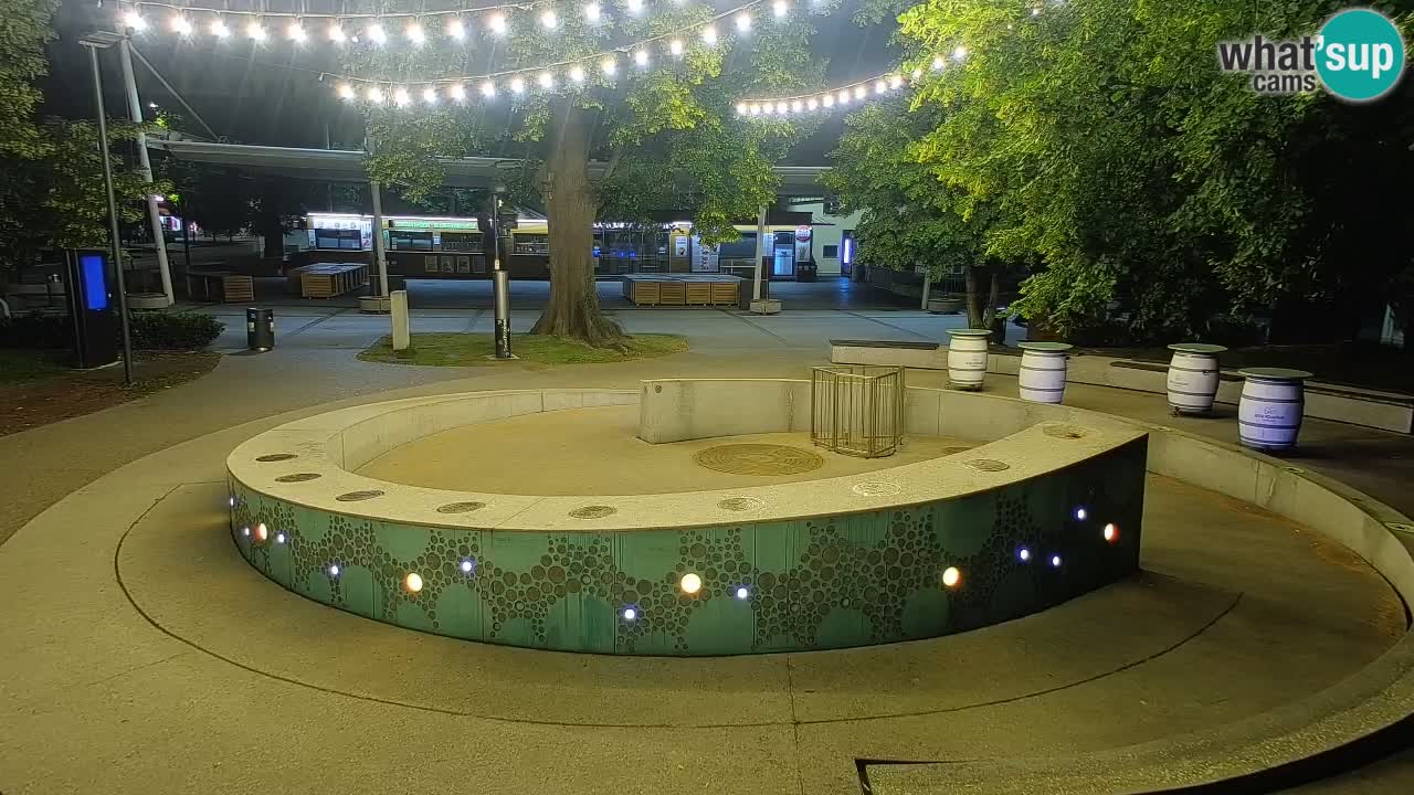 Bier-Springbrunnen Webcam Žalec – Grünen Goldes