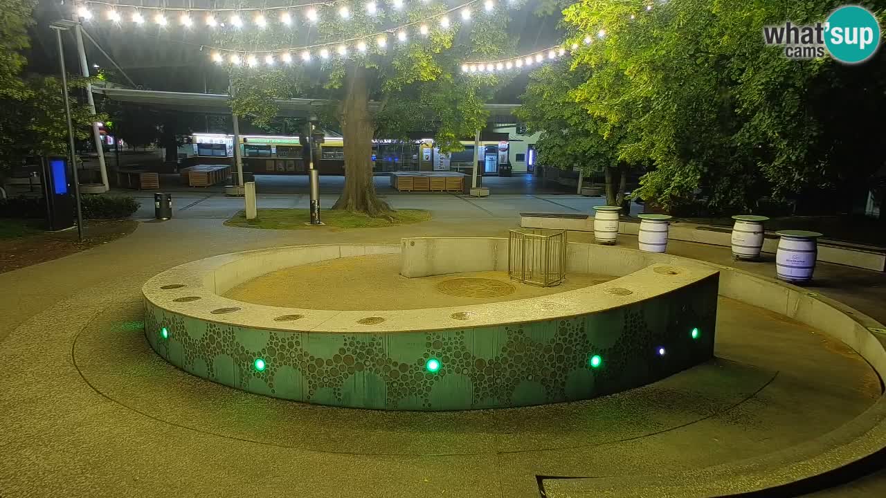 Spletna kamera Fontana Piv – Zeleno zlato Žalec
