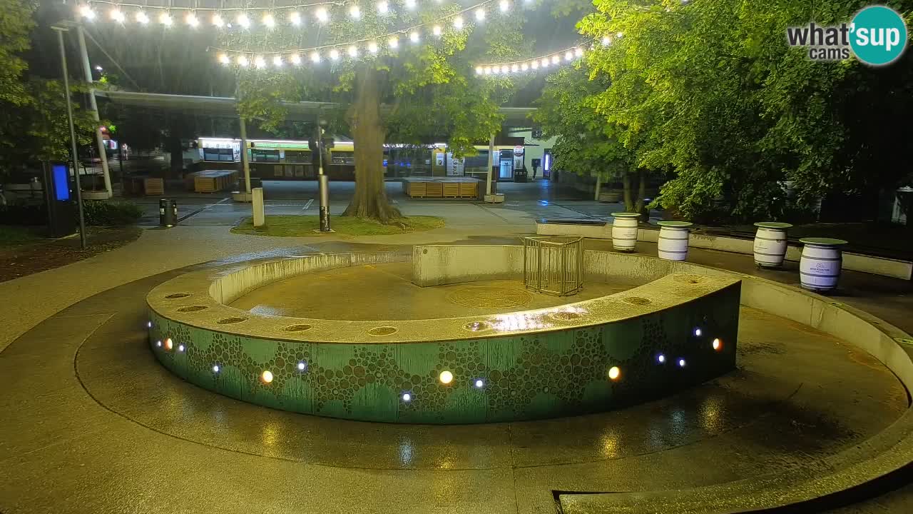 Bier-Springbrunnen Webcam Žalec – Grünen Goldes