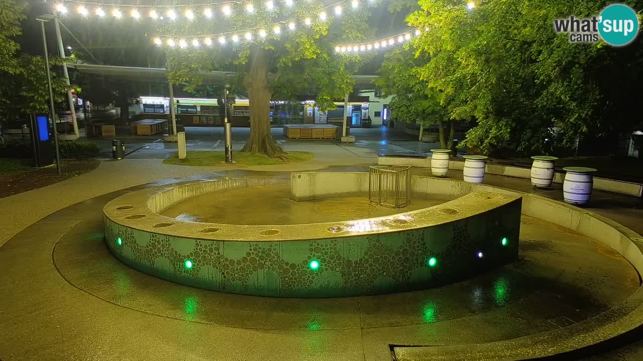 Camera en vivo Fuente de cerveza – Oro verde – Žalec