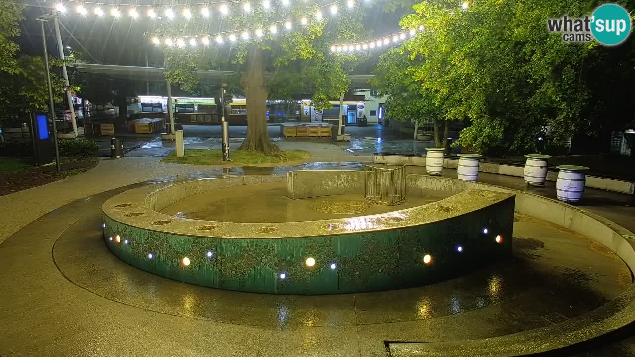 Spletna kamera Fontana Piv – Zeleno zlato Žalec