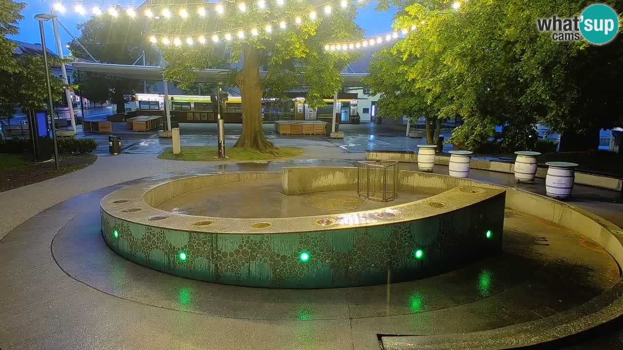 Camera en vivo Fuente de cerveza – Oro verde – Žalec