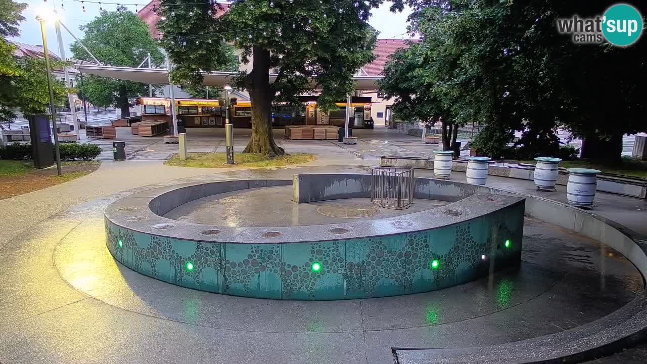 Web kamera Fontana piva – Zeleno zlato – Žalec