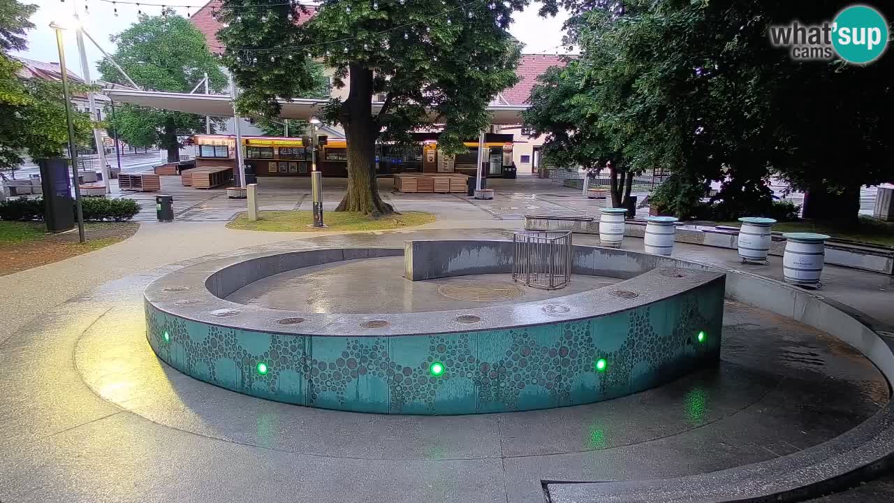 Bier-Springbrunnen Webcam Žalec – Grünen Goldes