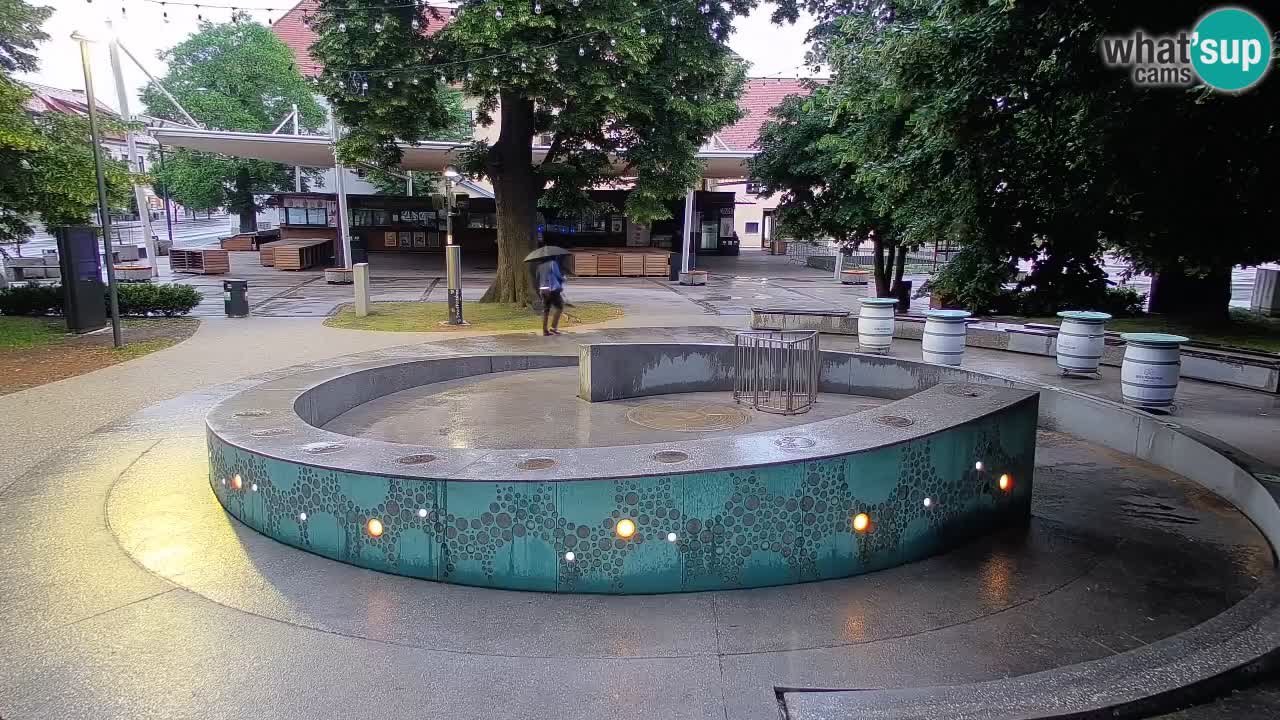 Fontana di birra Webcam – Oro verde – Žalec