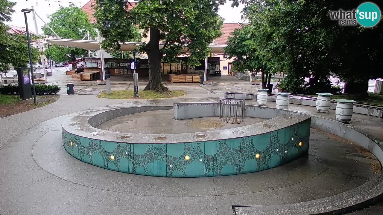 Web kamera Fontana piva – Zeleno zlato – Žalec