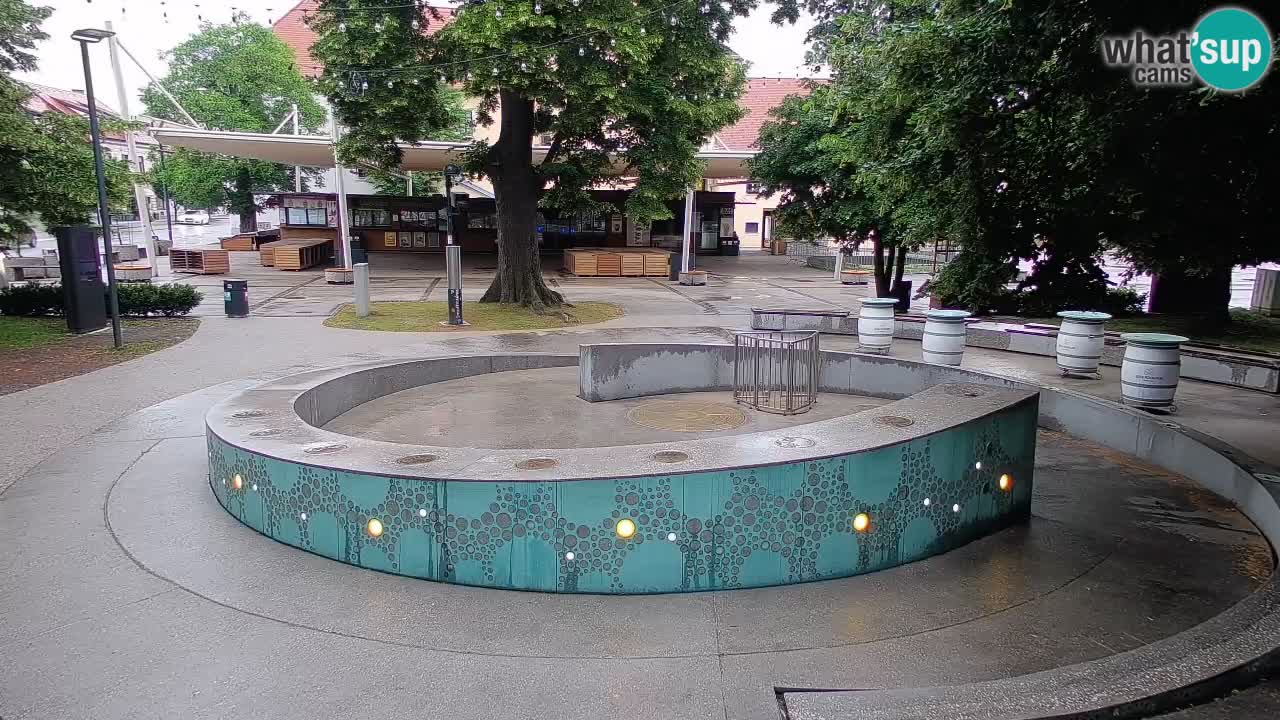 Web kamera Fontana piva – Zeleno zlato – Žalec