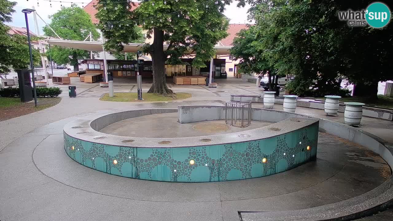 Bier-Springbrunnen Webcam Žalec – Grünen Goldes