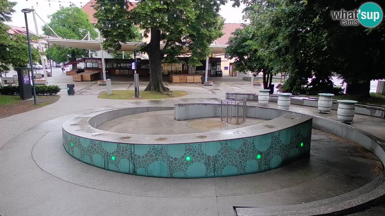 Bier-Springbrunnen Webcam Žalec – Grünen Goldes