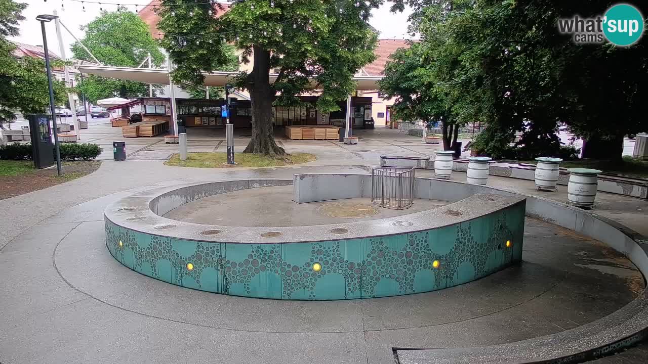 Spletna kamera Fontana Piv – Zeleno zlato Žalec