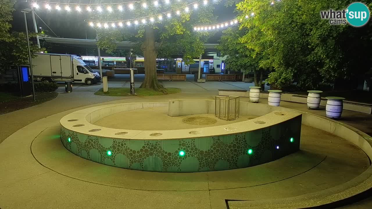 Fontaine à bière LIVE webcam – Or vert – Žalec