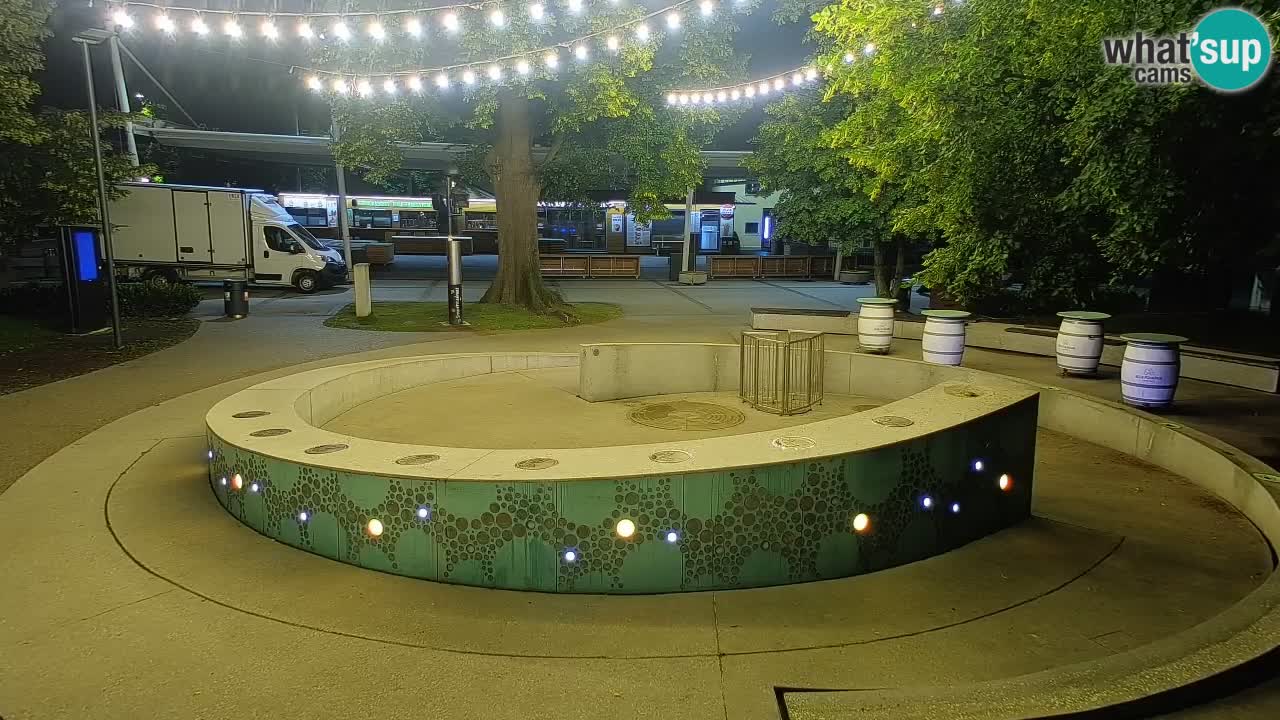 Fontaine à bière LIVE webcam – Or vert – Žalec