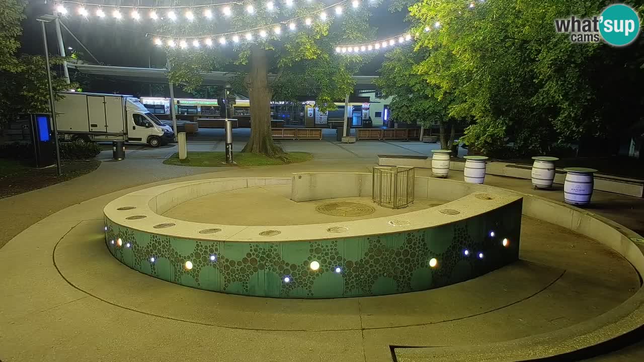 Fontana di birra Webcam – Oro verde – Žalec