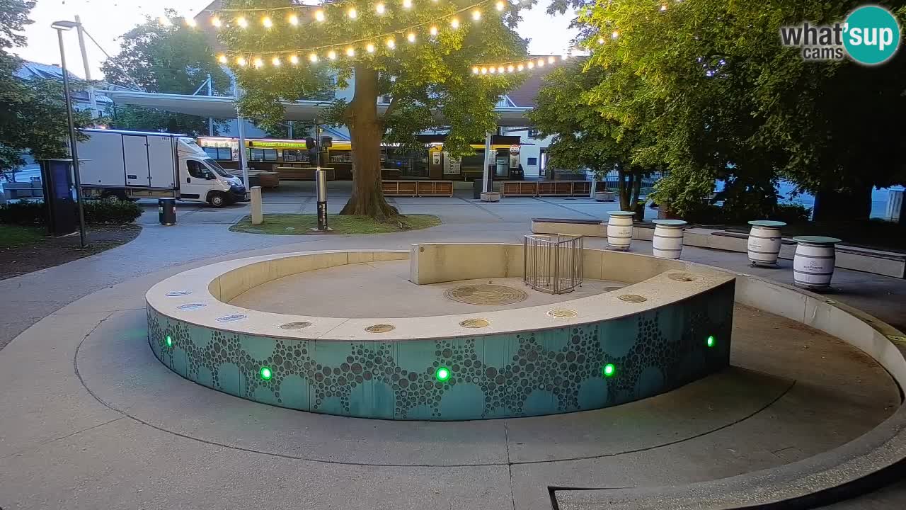 Fontana di birra Webcam – Oro verde – Žalec