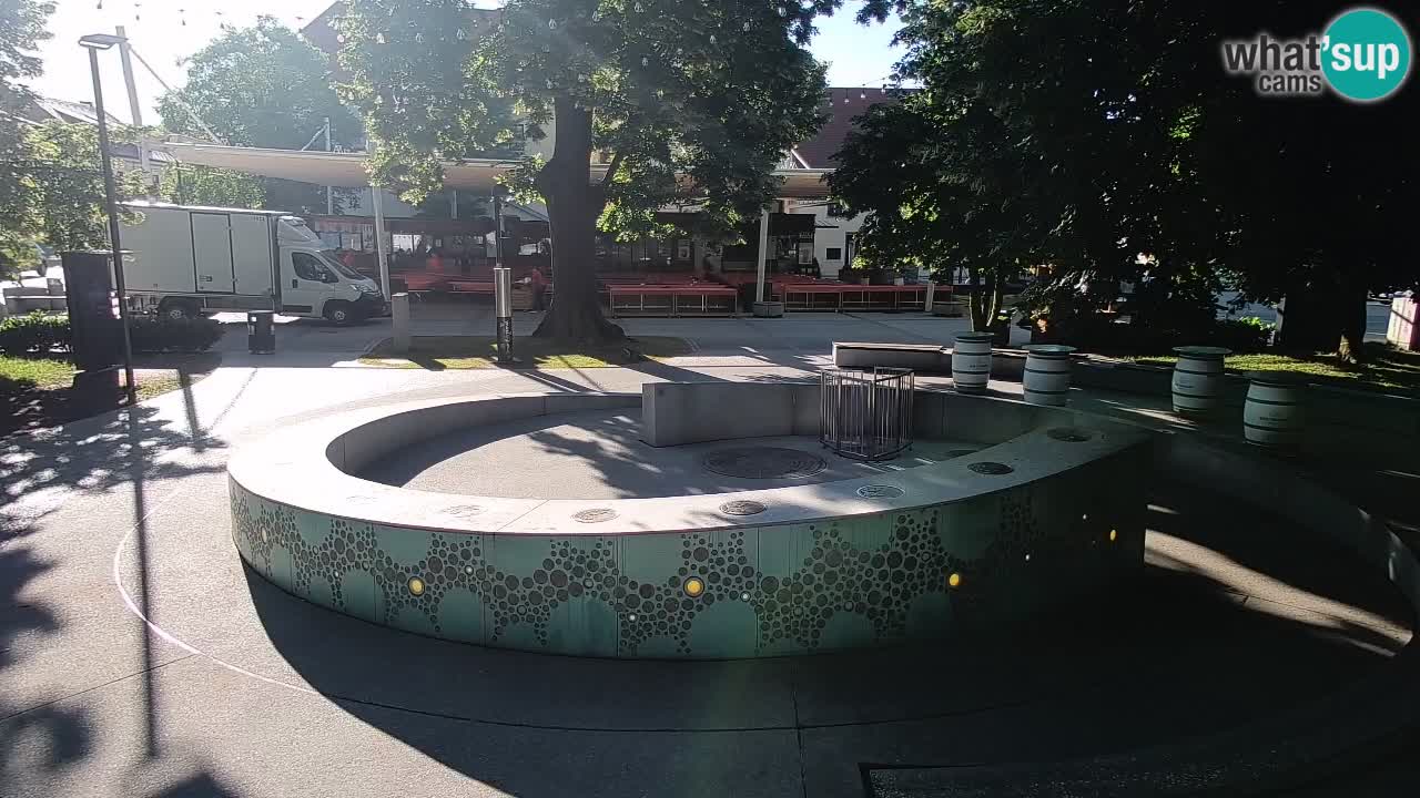 Bier-Springbrunnen Webcam Žalec – Grünen Goldes