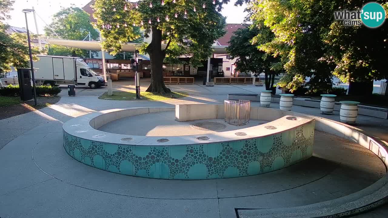 Bier-Springbrunnen Webcam Žalec – Grünen Goldes
