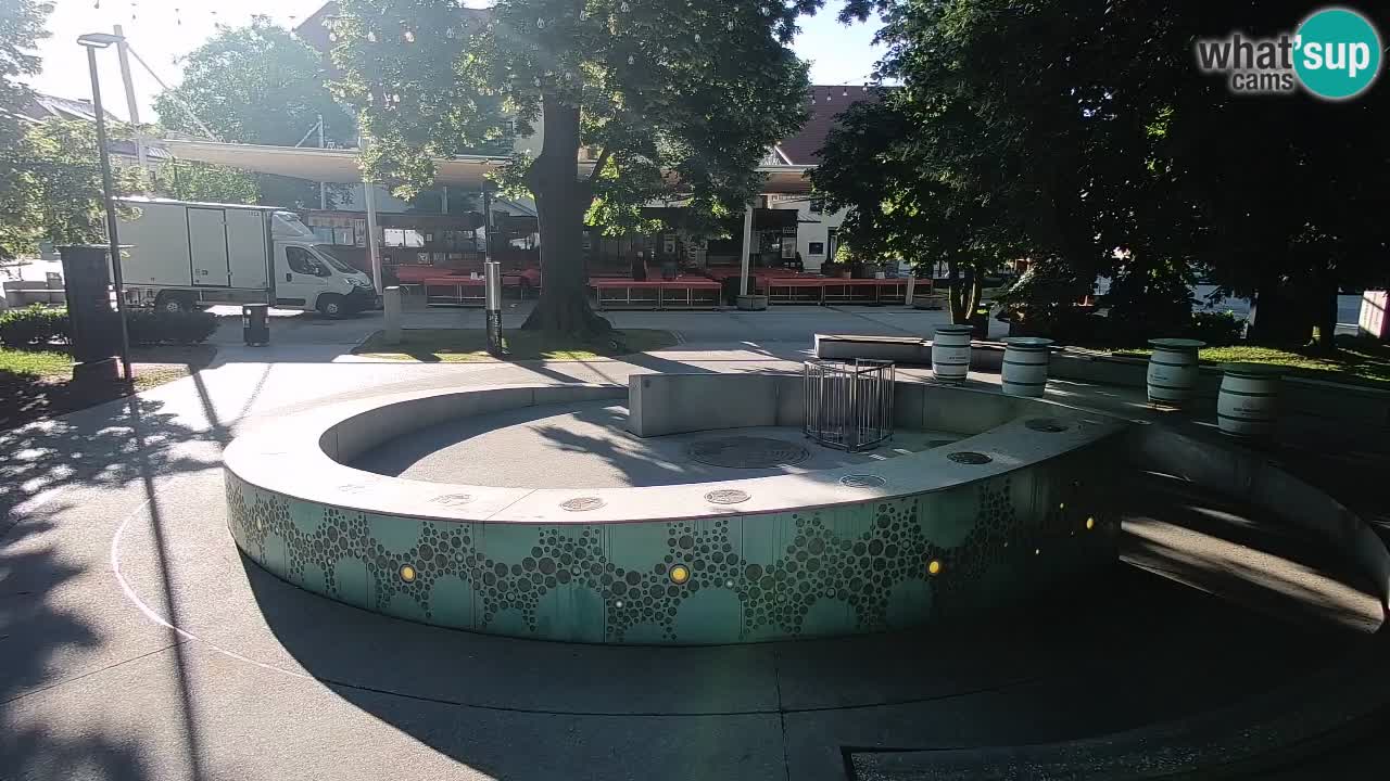 Bier-Springbrunnen Webcam Žalec – Grünen Goldes