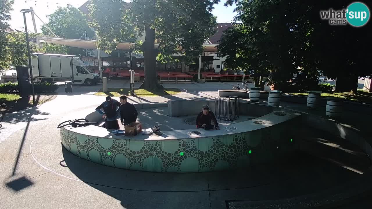 Fontana di birra Webcam – Oro verde – Žalec