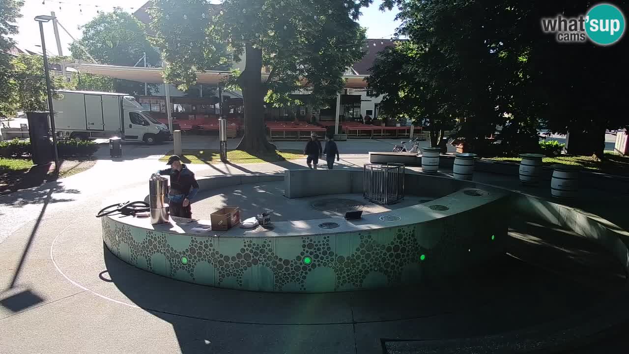 Fontana di birra Webcam – Oro verde – Žalec