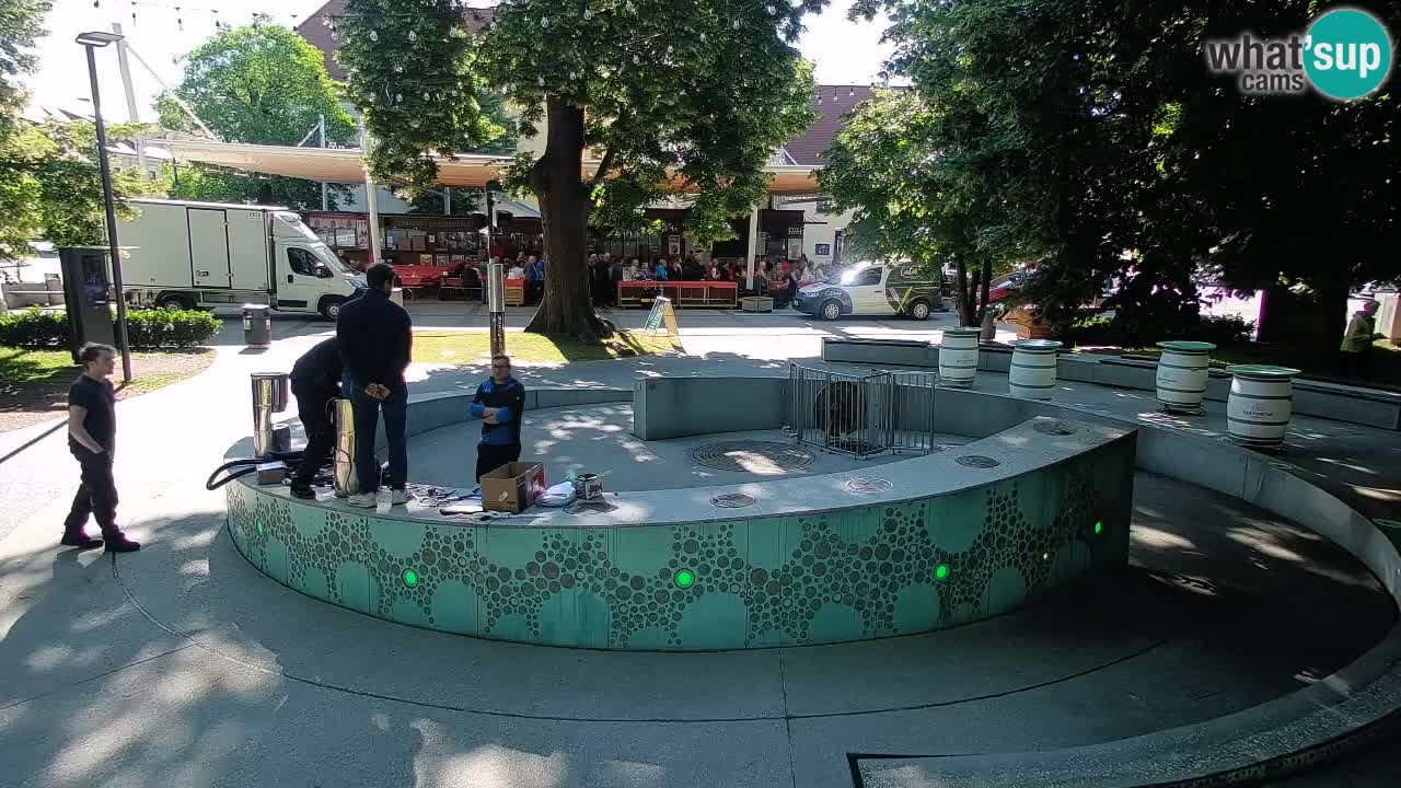 Bier-Springbrunnen Webcam Žalec – Grünen Goldes