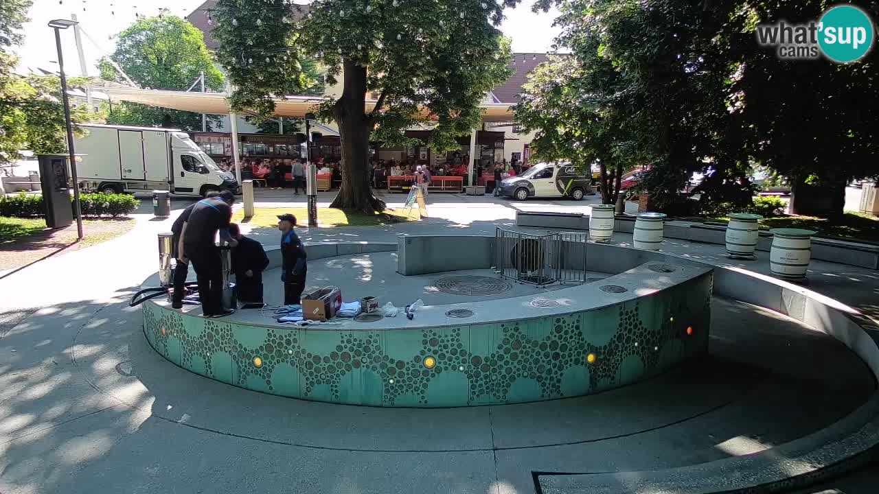 Fontana di birra Webcam – Oro verde – Žalec