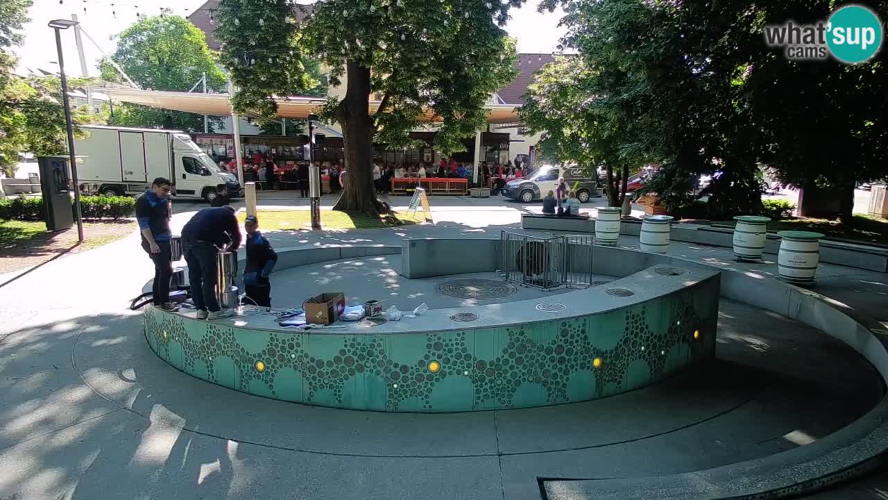 Fontana di birra Webcam – Oro verde – Žalec