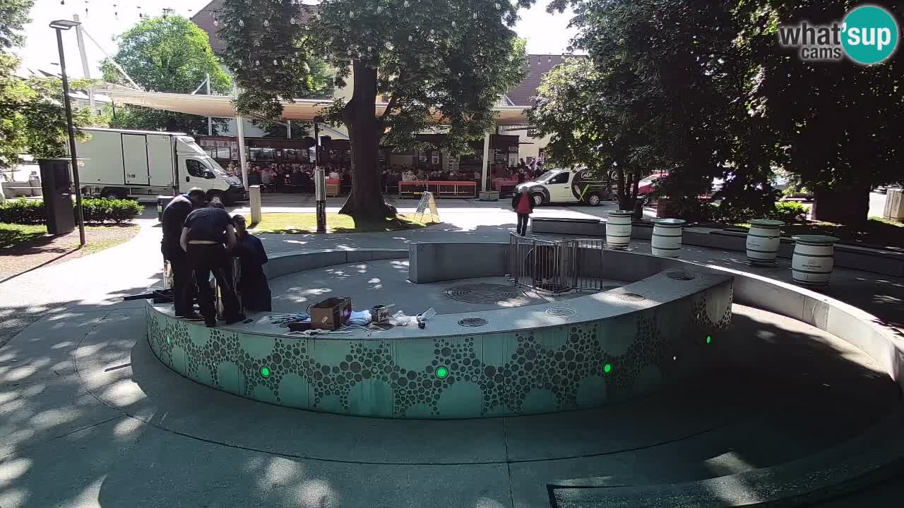 Bier-Springbrunnen Webcam Žalec – Grünen Goldes